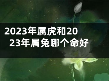 2023年属虎和2023年属兔哪个命好