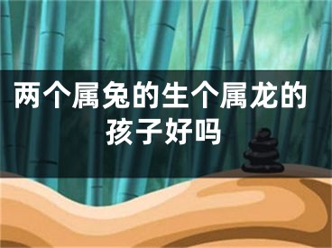 两个属兔的生个属龙的孩子好吗
