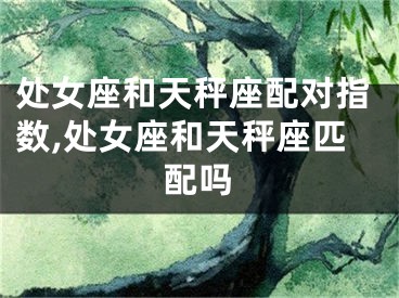 处女座和天秤座配对指数,处女座和天秤座匹配吗
