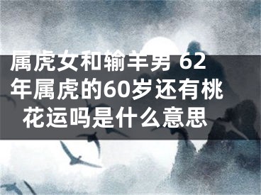 属虎女和输羊男 62年属虎的60岁还有桃花运吗是什么意思 