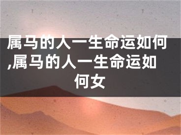 属马的人一生命运如何,属马的人一生命运如何女