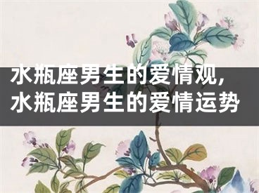 水瓶座男生的爱情观,水瓶座男生的爱情运势