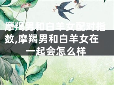 摩羯男和白羊女配对指数,摩羯男和白羊女在一起会怎么样