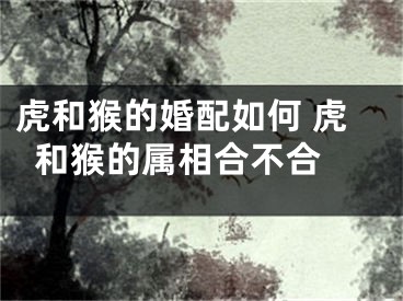 虎和猴的婚配如何 虎和猴的属相合不合 