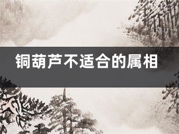 铜葫芦不适合的属相
