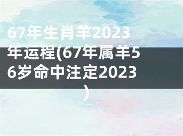 67年生肖羊2023年运程(67年属羊56岁命中注定2023)