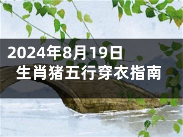 2024年8月19日生肖猪五行穿衣指南
