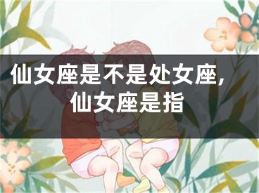 仙女座是不是处女座,仙女座是指
