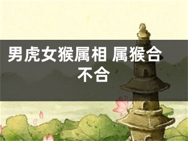 男虎女猴属相 属猴合不合
