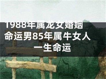 1988年属龙女婚姻命运男85年属牛女人一生命运