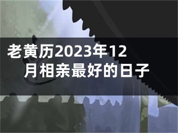 老黄历2023年12月相亲最好的日子