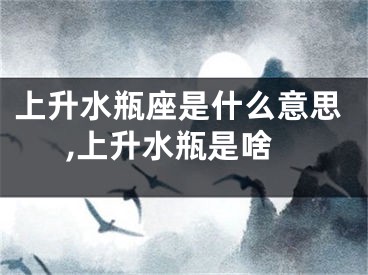 上升水瓶座是什么意思,上升水瓶是啥