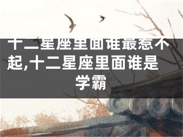 十二星座里面谁最惹不起,十二星座里面谁是学霸