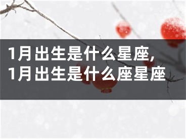 1月出生是什么星座,1月出生是什么座星座