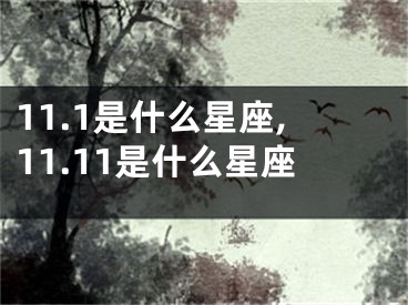 11.1是什么星座,11.11是什么星座