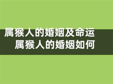属猴人的婚姻及命运 属猴人的婚姻如何