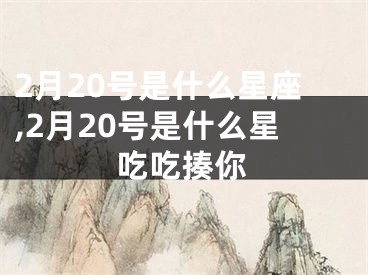 2月20号是什么星座,2月20号是什么星吃吃揍你