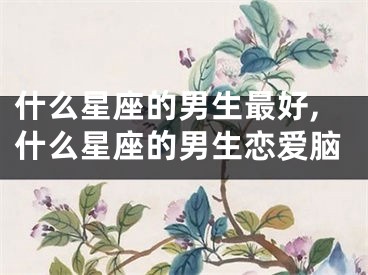 什么星座的男生最好,什么星座的男生恋爱脑