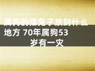 属狗的摆兔子放到什么地方 70年属狗53岁有一灾