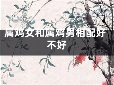 属鸡女和属鸡男相配好不好