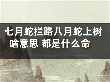 七月蛇拦路八月蛇上树啥意思 都是什么命