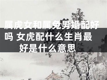 属虎女和属兔男婚配好吗 女虎配什么生肖最好是什么意思 