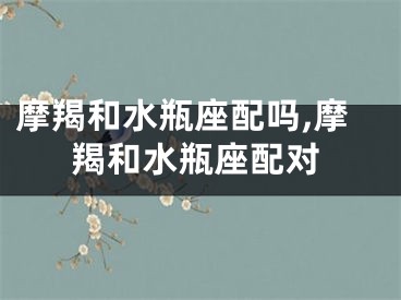 摩羯和水瓶座配吗,摩羯和水瓶座配对