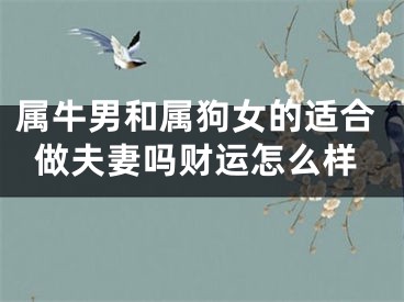 属牛男和属狗女的适合做夫妻吗财运怎么样