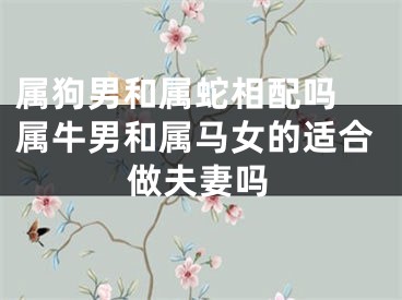 属狗男和属蛇相配吗 属牛男和属马女的适合做夫妻吗