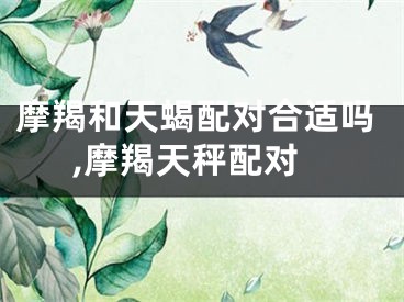 摩羯和天蝎配对合适吗,摩羯天秤配对