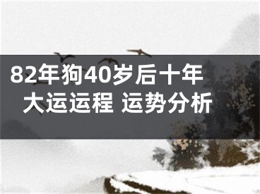 82年狗40岁后十年大运运程 运势分析