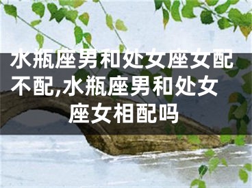 水瓶座男和处女座女配不配,水瓶座男和处女座女相配吗