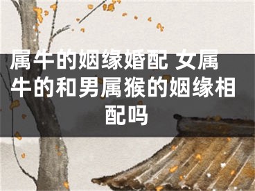 属牛的姻缘婚配 女属牛的和男属猴的姻缘相配吗