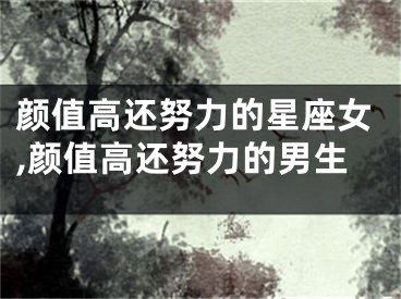 颜值高还努力的星座女,颜值高还努力的男生