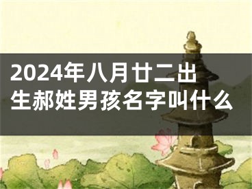 2024年八月廿二出生郝姓男孩名字叫什么
