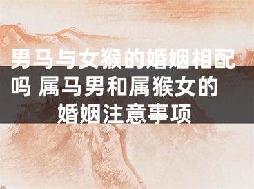 男马与女猴的婚姻相配吗 属马男和属猴女的婚姻注意事项