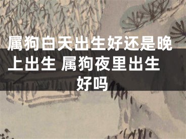 属狗白天出生好还是晚上出生 属狗夜里出生好吗