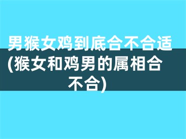 男猴女鸡到底合不合适(猴女和鸡男的属相合不合)