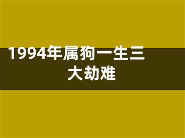 1994年属狗一生三大劫难