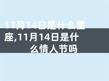 11月14日是什么星座,11月14日是什么情人节吗