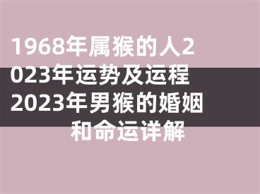 1968年属猴的人2023年运势及运程 2023年男猴的婚姻和命运详解