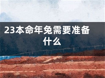 23本命年兔需要准备什么