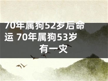 70年属狗52岁后命运 70年属狗53岁有一灾