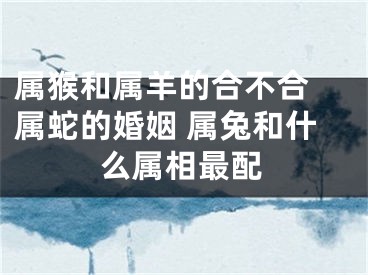 属猴和属羊的合不合 属蛇的婚姻 属兔和什么属相最配