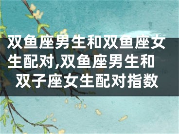双鱼座男生和双鱼座女生配对,双鱼座男生和双子座女生配对指数