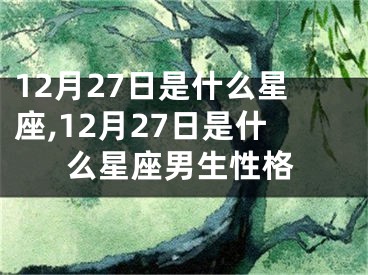 12月27日是什么星座,12月27日是什么星座男生性格