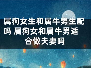 属狗女生和属牛男生配吗 属狗女和属牛男适合做夫妻吗