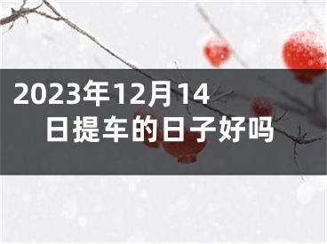 2023年12月14日提车的日子好吗