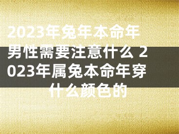 2023年兔年本命年男性需要注意什么 2023年属兔本命年穿什么颜色的