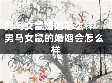 男马女鼠婚姻怎么样 男马女鼠的婚姻会怎么样